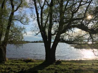 MeerZeit mit Sauna und Seeblick - Poseritz - 8