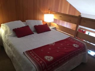Duplex confortable pour 6/7 personnes à Isola 2000 - FR-1-292-80 - 6