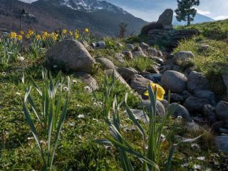 Appartement Saint-Lary-Soulan avec Piscine et Sauna - 6 pers - FR-1-296-432 - 4