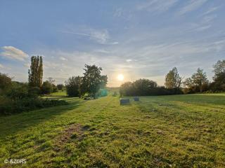 Glamping Hoeve Thenaers - Gingelom - 7