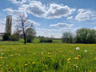 Glamping Hoeve Thenaers - 5