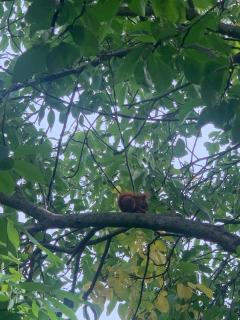 Ferienwohnung am Netzener See - 2