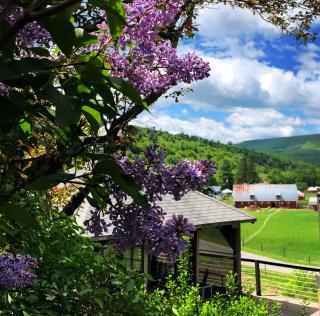 The Blue House On The Hill Catskills—Views - Claryville - 3
