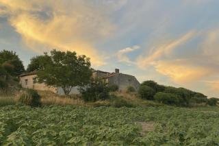 La Chaumière - Salles-Lavalette - 0