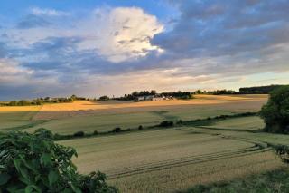 La Chaumière - Salles-Lavalette - 6