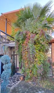 Hotel and Restaurant "VILLA GIVISI" - 0