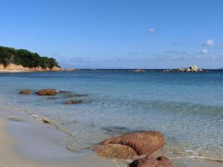 Bilocale vista mare - 4