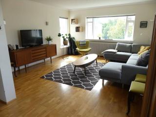 Bright 2 Bedroom Apartment in Reykjavik - Reikiavik - 0
