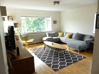 Bright 2 Bedroom Apartment in Reykjavik - Reikiavik - 5