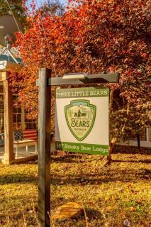 Smoky Bear Lodge at Gr Smoky Mtn Park - Bryson City - 3