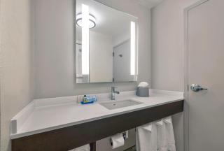Holiday Inn Express & Suites Kansas City Airport by IHG - Kansas City - 7