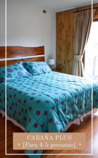 Complejo Loncopangue Lodge - 3