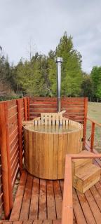 Complejo Loncopangue Lodge - 4