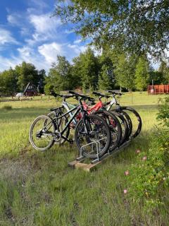 Complejo Loncopangue Lodge - 5