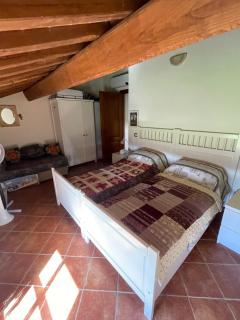 Podere le Volpaie - 4