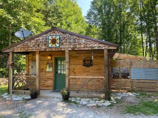Poppa Bear Cabin at Gr Smoky Mtn Park! 3mi to town - Bryson City - 9