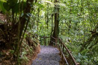 Cabañas Caeli, Peaceful Rainforest Retreat with Stunning Views - Fortuna - 1
