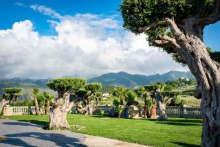 Tenuta Pietravera - Furnari - 3
