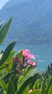 Lake Como Ti Amo - Nesso - 7