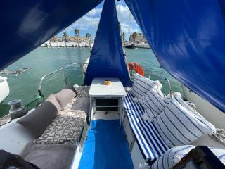 Symbiose sur l’eau Gruissan - Gruissan - 9