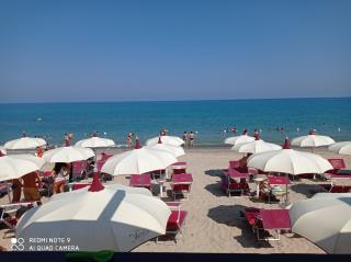 Holiday Homes - Campofelice di Roccella - 8