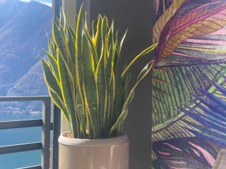 Lake Como Ti Amo - Nesso - 2