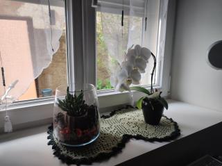 Chez Dori Chambre privée - Bischheim - 2