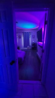 Serene Oasis Suite with private bathroom - Newark - 7