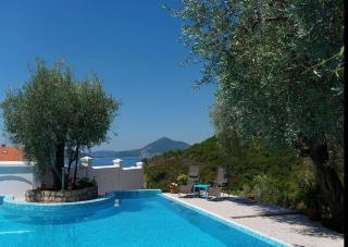 Gala’s Miracle Garden - 3