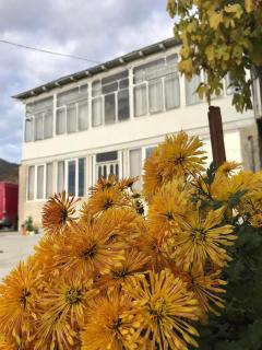 Guesthouse _ DAVITI - Khoni - 0