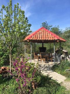 Guesthouse _ DAVITI - Khoni - 9