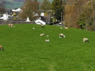 Brooklands Guest House - Bowness-on-Windermere - 9