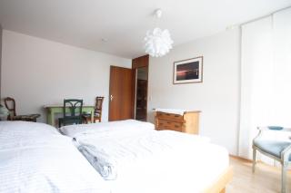 Storchennest - Schönes, ruhiges Apartment mit Sonnenterrasse - Tettnang - 3