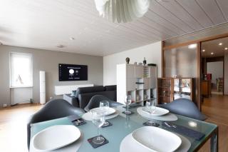 Storchennest - Schönes, ruhiges Apartment mit Sonnenterrasse - Tettnang - 0