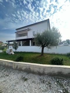 Apartment Maslina - Poreč - 3