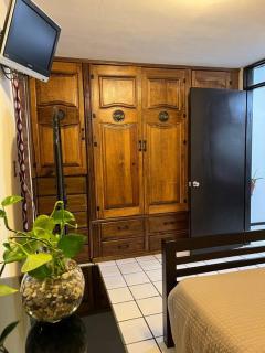 Caza en zona residencial - Uruapan del Progreso - 6