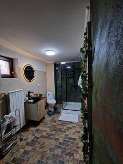 Cabana din Pădure - Porumbacu de Sus - 7