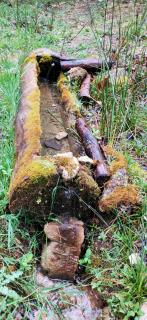 El Almendro De La Tia Teresa - 8