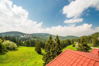 Snezhanka Hotel Pamporovo-All inclusive & Half Board - 3
