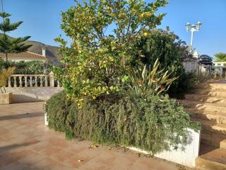 Casa Los Olivos, villa with a pool - Alicante - 5