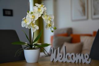 Apartma Pikabooth - Topolšica - 5
