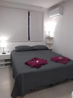 DEPARTAMENTO GENESIS,PLANTA BAJA DOS PERSONAS. - Viedma - 4