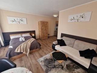 ApartHouse Apartamenty Centrum - In the city center Near the train station - Kattowitz - 6