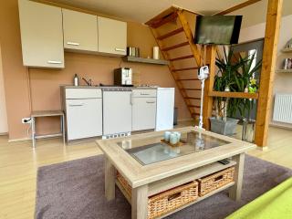 STUDIO am Kaitzer Weinberg - Dresda - 3
