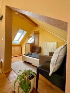 STUDIO am Kaitzer Weinberg - Dresda - 7