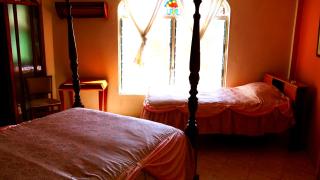 Banana Bank Lodge & Jungle Horseback Adventures - 9