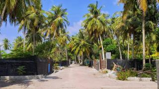 Morus Bliss - Divers' Preferred Hotel - Maradhoofeydhoo - 9