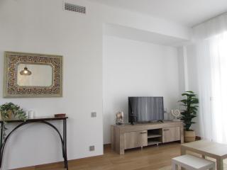 PUERTA DE ORIENTE BEACH HOME - 7