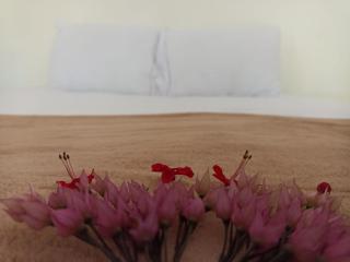 Vila Caraíva Hospedaria - 6