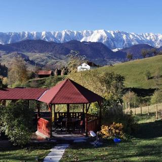 Nona Highland Home - Moieciu de Jos - 3